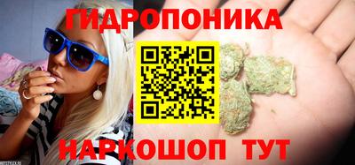 ПСИЛОЦИБИНОВЫЕ ГРИБЫ Моздок