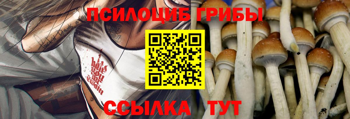 Усть-Джегута  Псилоцибиновые грибы MAGIC MUSHROOMS  Вход с VPN 